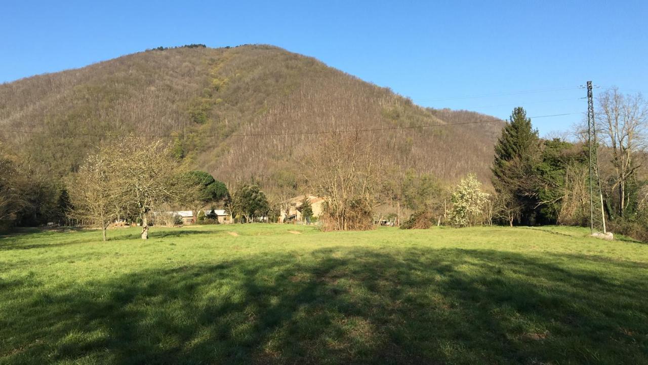 Welcome In Toscana Polcanto Екстериор снимка