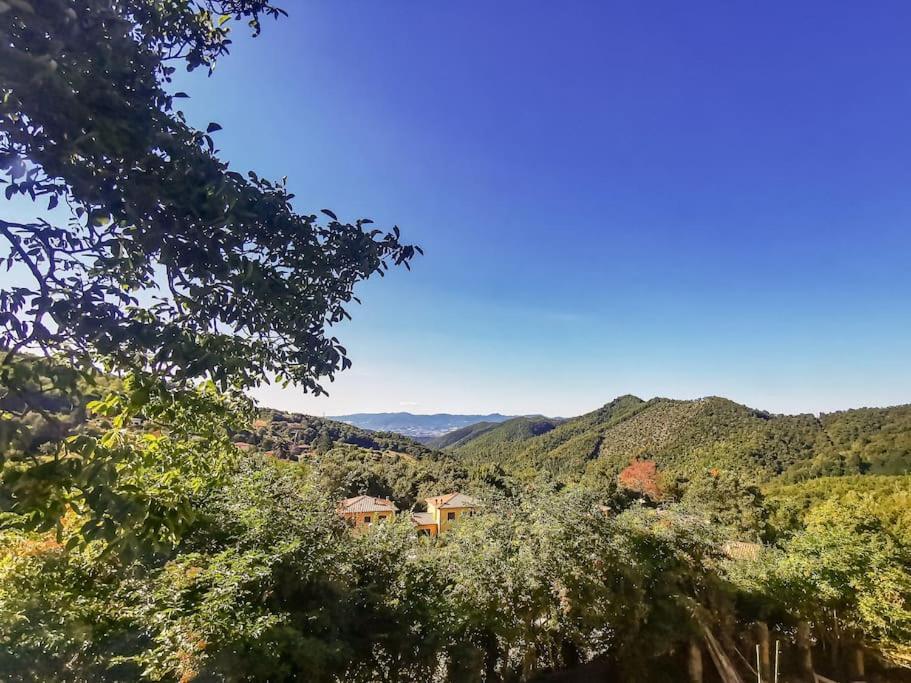 Welcome In Toscana Polcanto Екстериор снимка