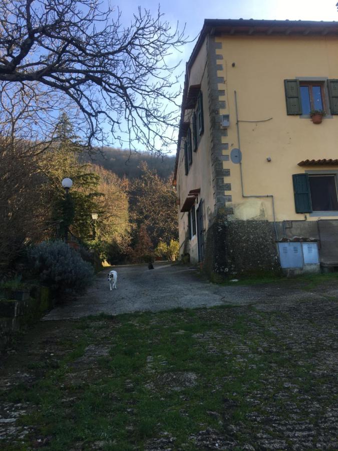 Welcome In Toscana Polcanto Екстериор снимка