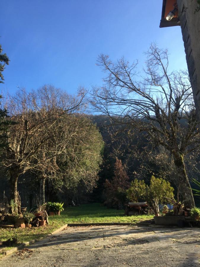 Welcome In Toscana Polcanto Екстериор снимка